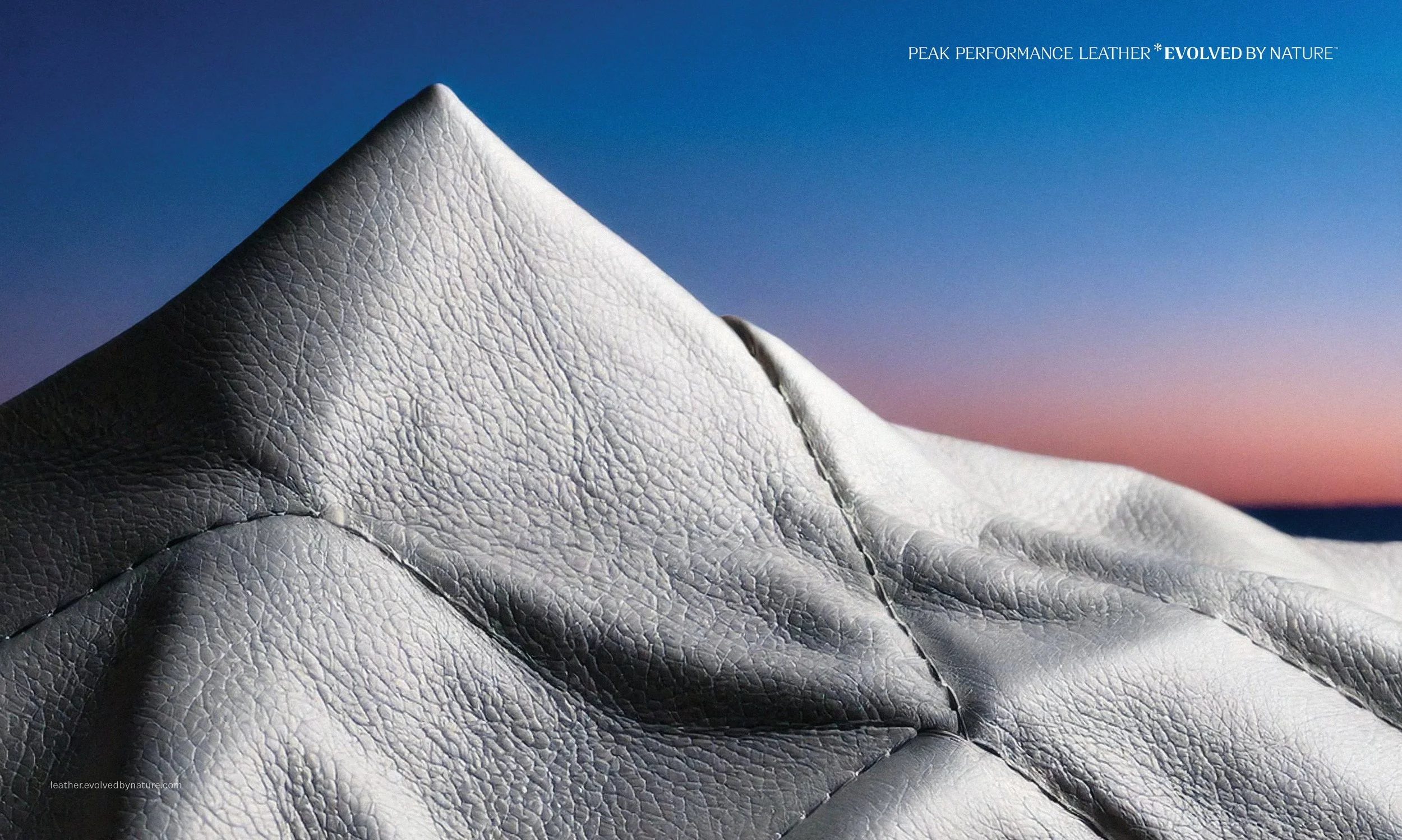 Leather Landscapes — Viktor Angwald